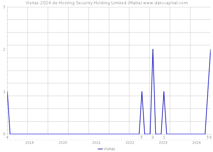 Visitas 2024 de Hosting Security Holding Limited (Malta) 