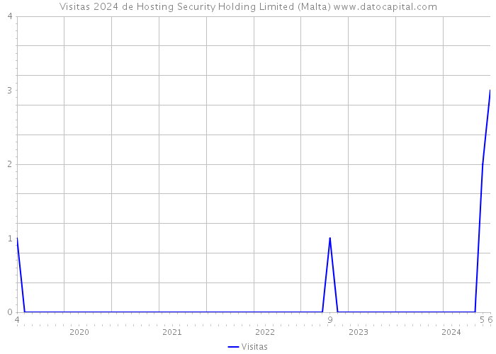 Visitas 2024 de Hosting Security Holding Limited (Malta) 
