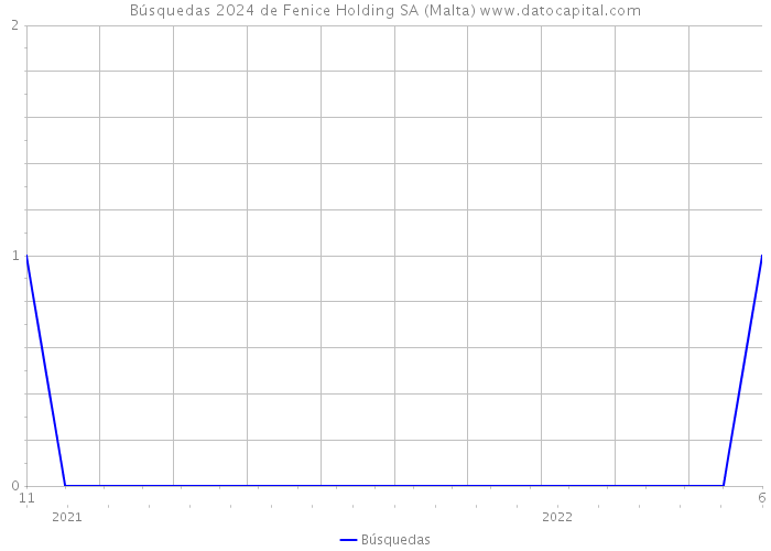 Búsquedas 2024 de Fenice Holding SA (Malta) 