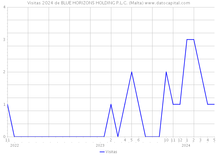Visitas 2024 de BLUE HORIZONS HOLDING P.L.C. (Malta) 