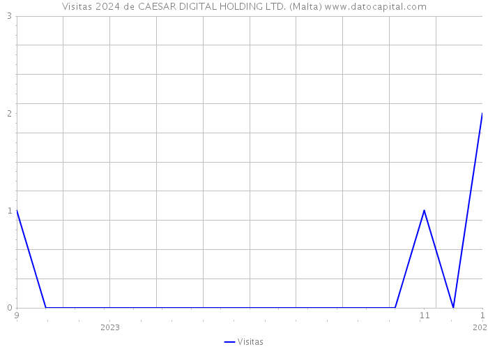Visitas 2024 de CAESAR DIGITAL HOLDING LTD. (Malta) 