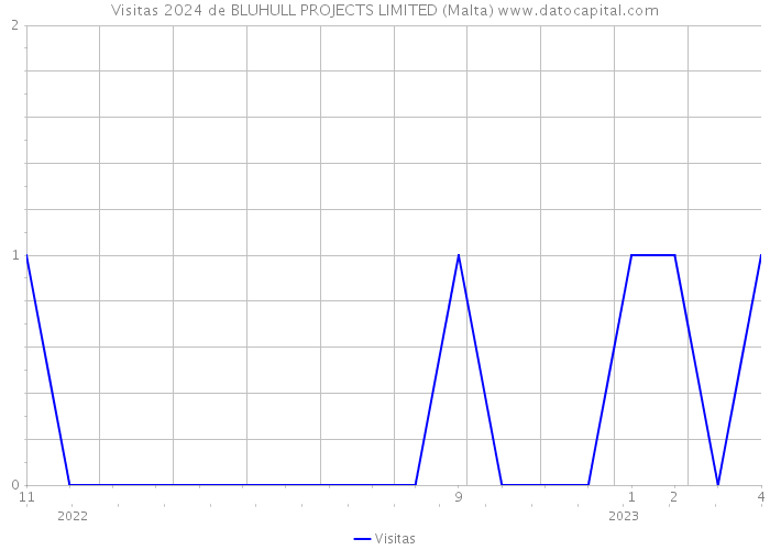 Visitas 2024 de BLUHULL PROJECTS LIMITED (Malta) 
