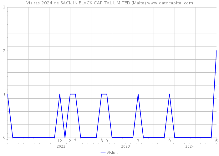 Visitas 2024 de BACK IN BLACK CAPITAL LIMITED (Malta) 