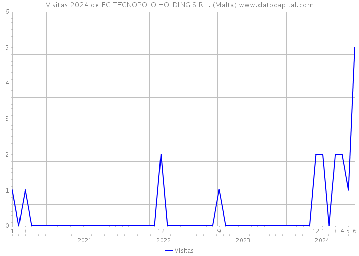 Visitas 2024 de FG TECNOPOLO HOLDING S.R.L. (Malta) 