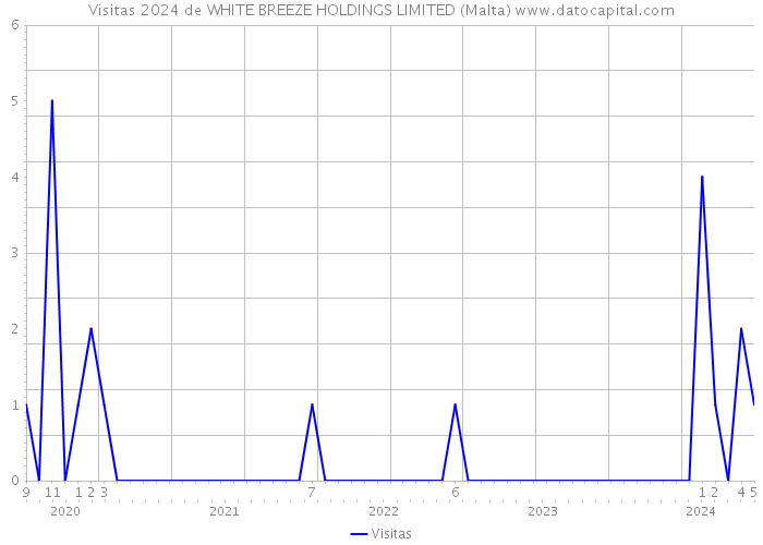 Visitas 2024 de WHITE BREEZE HOLDINGS LIMITED (Malta) 