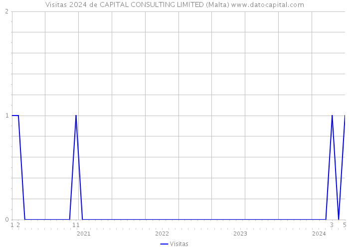 Visitas 2024 de CAPITAL CONSULTING LIMITED (Malta) 
