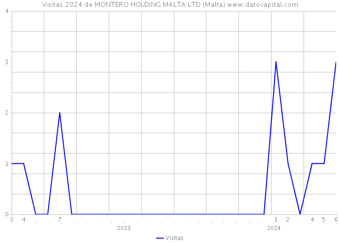 Visitas 2024 de MONTERO HOLDING MALTA LTD (Malta) 