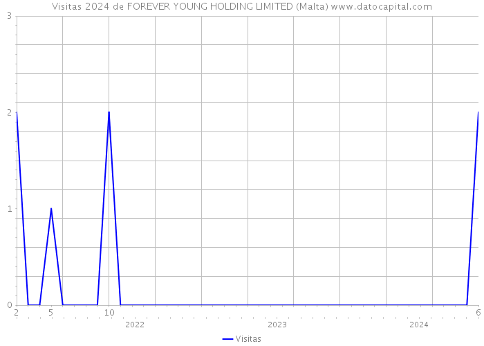 Visitas 2024 de FOREVER YOUNG HOLDING LIMITED (Malta) 