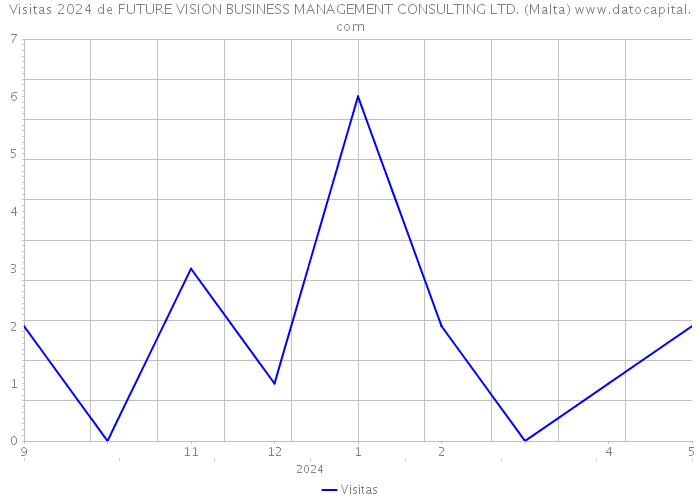 Visitas 2024 de FUTURE VISION BUSINESS MANAGEMENT CONSULTING LTD. (Malta) 