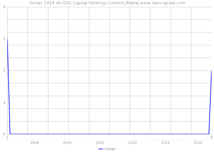 Visitas 2024 de GNG Capital Holdings Limited (Malta) 