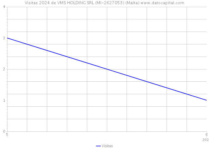 Visitas 2024 de VMS HOLDING SRL (MI-2627053) (Malta) 
