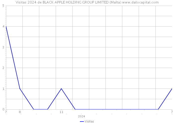 Visitas 2024 de BLACK APPLE HOLDING GROUP LIMITED (Malta) 