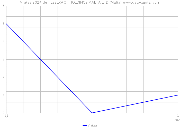 Visitas 2024 de TESSERACT HOLDINGS MALTA LTD (Malta) 