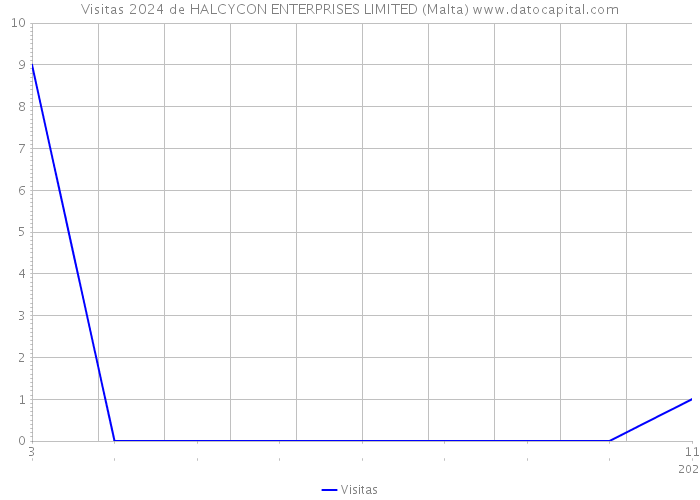 Visitas 2024 de HALCYCON ENTERPRISES LIMITED (Malta) 