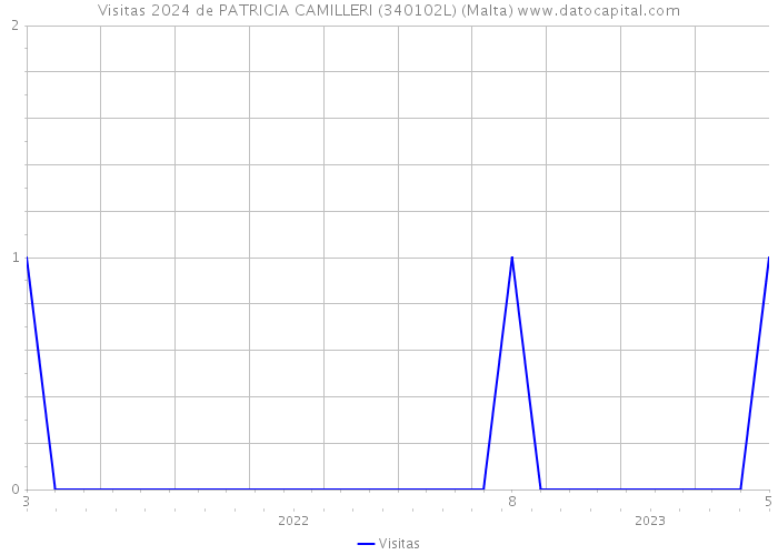 Visitas 2024 de PATRICIA CAMILLERI (340102L) (Malta) 