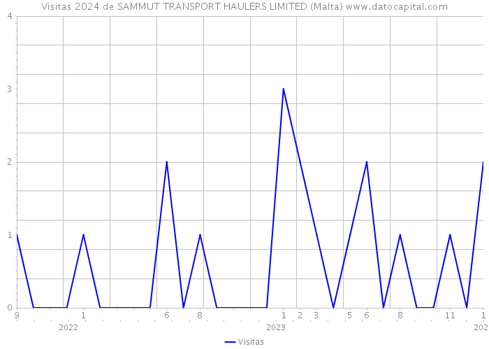Visitas 2024 de SAMMUT TRANSPORT HAULERS LIMITED (Malta) 