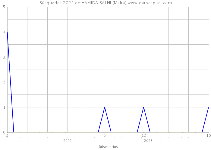 Búsquedas 2024 de HAMIDA SALHI (Malta) 